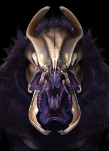 Mauricio_Ruiz_Design_0061