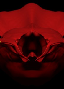 Mauricio_Ruiz_Design_0073
