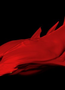 Mauricio_Ruiz_Design_0074