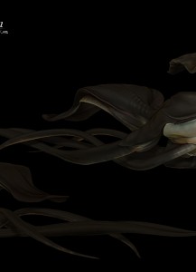 Mauricio_Ruiz_Design_0085