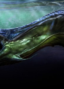 Mauricio_Ruiz_Design_0112
