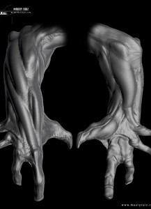 Mauricio_Ruiz_Design_0136